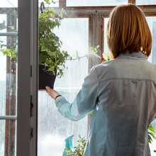 Woman Spraying Water Onto Potted Plant, Rear View