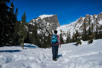 Wall Mural - A female hiker hikes in the forest and mountains  with snow in winter.