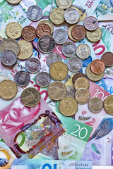 Wall Mural - New Zealand money or currency