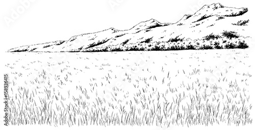 漫画風ペン画イラスト 草原 Stock Illustration Adobe Stock 漫画風ペン画イラスト 草原 Stock Illustration Adobe Stock