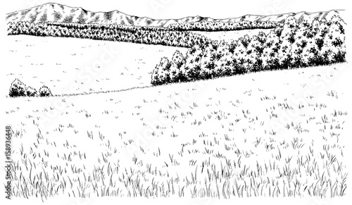 漫画風ペン画イラスト 草原 Buy This Stock Illustration And Explore Similar Illustrations At Adobe Stock Adobe Stock 漫画風ペン画イラスト 草原 Buy This Stock Illustration And Explore Similar Illustrations At Adobe Stock Adobe Stock