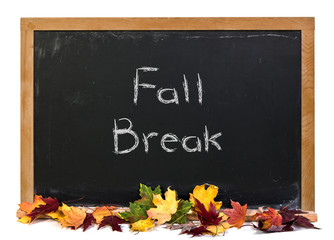 Wall Mural - fall break written in white chalk on a black chalkboard decorated with autumn fall leaves isolated o