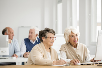 Wall Mural - Women practising using computer