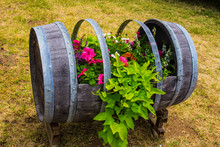 Wine Barrel Used As Planter Box