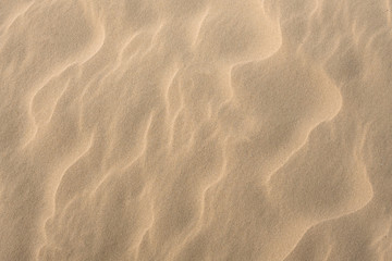 Sticker - sand texture background