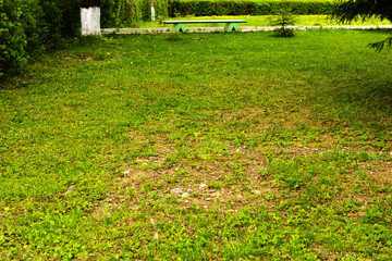 Wall Mural - Grass in the park against the sky and paths