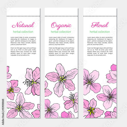 Apple Blossom Flower Vector Colorful Doodle Sketch Hand Drawn