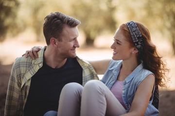 Wall Mural - Smiling young couple sitting on field at olive farm