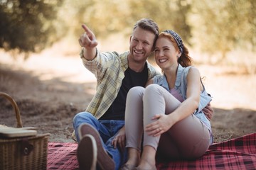 Wall Mural - Young man showing something to woman while sitting at olive farm