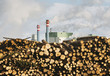 © Raymond Forbes LLC/Stocksy - Paper Manufacturing Plant