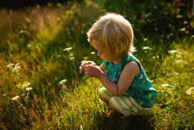 Girl Playing With Flowers In A Meadow