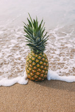 Pineapple On The Beach Summer Time