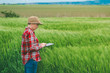© Bits and Splits - Farmer using digital tablet in wheat crop field