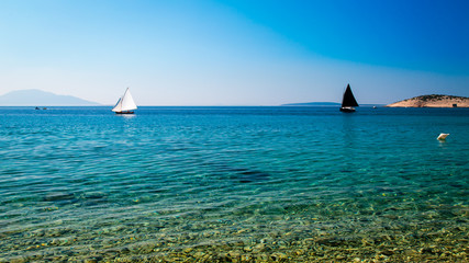 Wall Mural - regatta in a bay in Croatia