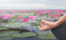 Serenity And Yoga Practicing On The Red Lotus Sea,Thailand