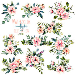 Wall Mural - Set of watercolor pink flowers, eucalyptus branches and other plants bouquets illustration, hand drawn isolated on a white background, for a greeting card, decoration of a wedding invitation