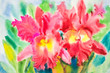   Watercolor original painting  flowers red color of orchid flower and green leaves.