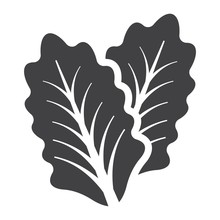 Lettuce Solid Icon, Vegetable And Salad Leaf, Vector Graphics, A Glyph Pattern On A White Background, Eps 10.