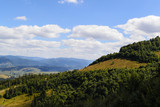 Fototapeta Sawanna - Carpathian Mountains in summer time