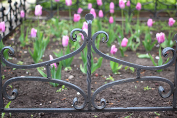 Wall Mural - Wrought-iron fences and hedges