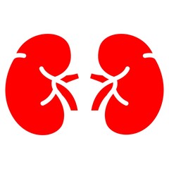 Kidneys