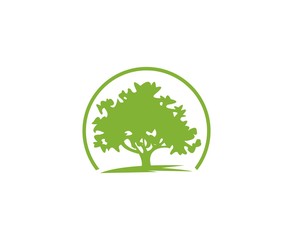Wall Mural - tree logo