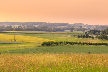 Sunset on green landscape with sheep and a little village in spring. Tienen, Flanders Belgium