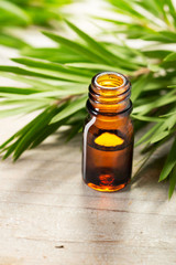 Sticker - tea tree oil in the amber glass bottle and fresh tea tree leaves