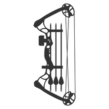 Compound Bow And Arrow