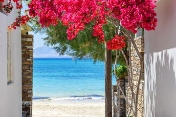 Wall Mural - Typical Greek narrow street with summer flowers and view over sea. Naxos island. Cyclades. Greece.