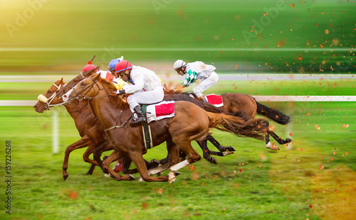 Race horses with jockeys on the home straight