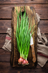 Sticker - Green onion or scallion on wooden board, fresh spring chives