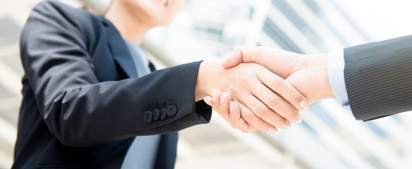 Wall Mural - Businesswoman making handshake with a businessman