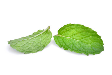 Wall Mural - fresh mint leaf isolated on white background