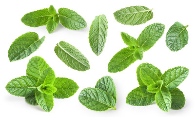 Mint leaves isolated on white background.