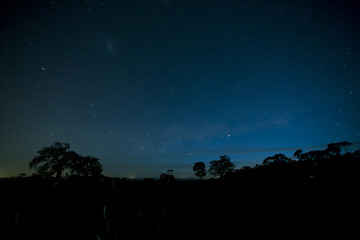 Wall Mural - stars in night sky