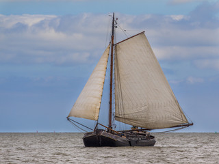 Poster - Flatbottom brown fleet sailing boat