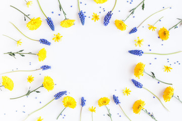 Flowers composition. Frame made of muscari and chrysanthemum flowers on white background. Flat lay, top view