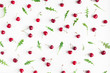 Cherry pattern. Fresh sweet cherry and arugula leaves on white background. Flat lay, top view