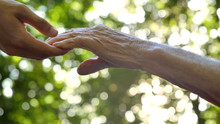 The Hand Of A Young Girl (woman) Holds The Hand Of An Elderly Person, A Sign Of Love, Help, Faith And Support, Help To Relatives. Concept Boarding House, Sanatorium, Nursing Home, Help For The Elderly
