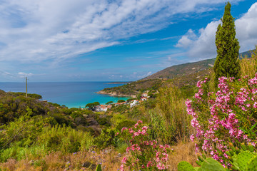 Canvas Print - View of  Cavoli beach, Elba island, Tuscany, Italy.