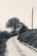 Black and white natural landscape with country road
