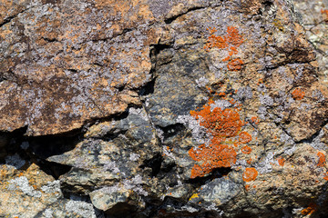 Wall Mural - beautiful brown grey stones, rocks, green, orange, moss, closeup, summer, nature, forest