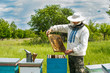 © Vadim - Beekeeper is working with bees and beehives on the apiary. Frames of a bee hive
