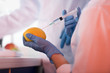 © LIGHTFIELD STUDIOS - Scientist during work at modern biological laboratory