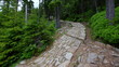 Szlak w czeskich Sudetach - zakręt na wyłożonej kamieniami ścieżce