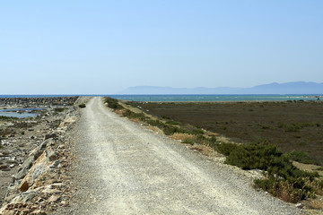 Wall Mural - maremma