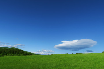 blue sky green field