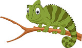 Fototapeta Zwierzęta - Cartoon chameleon on a branch