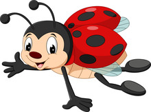 Cartoon Ladybug Flying